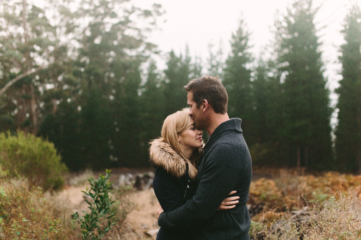 Suret&Christiaan_ceciliaforest05